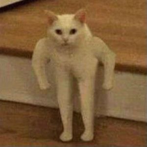 Meet your Posher, Cassidy